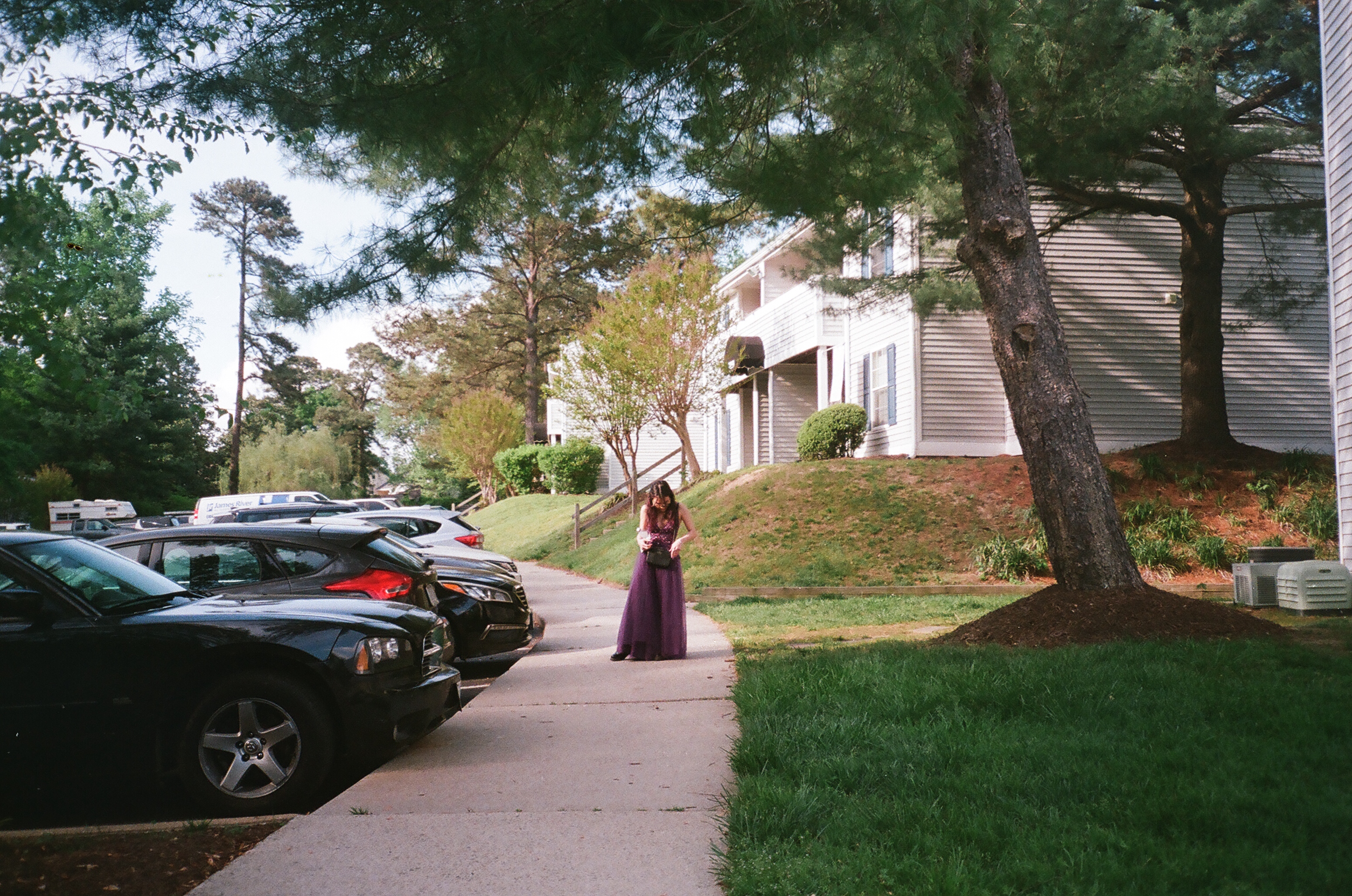 Image 25
