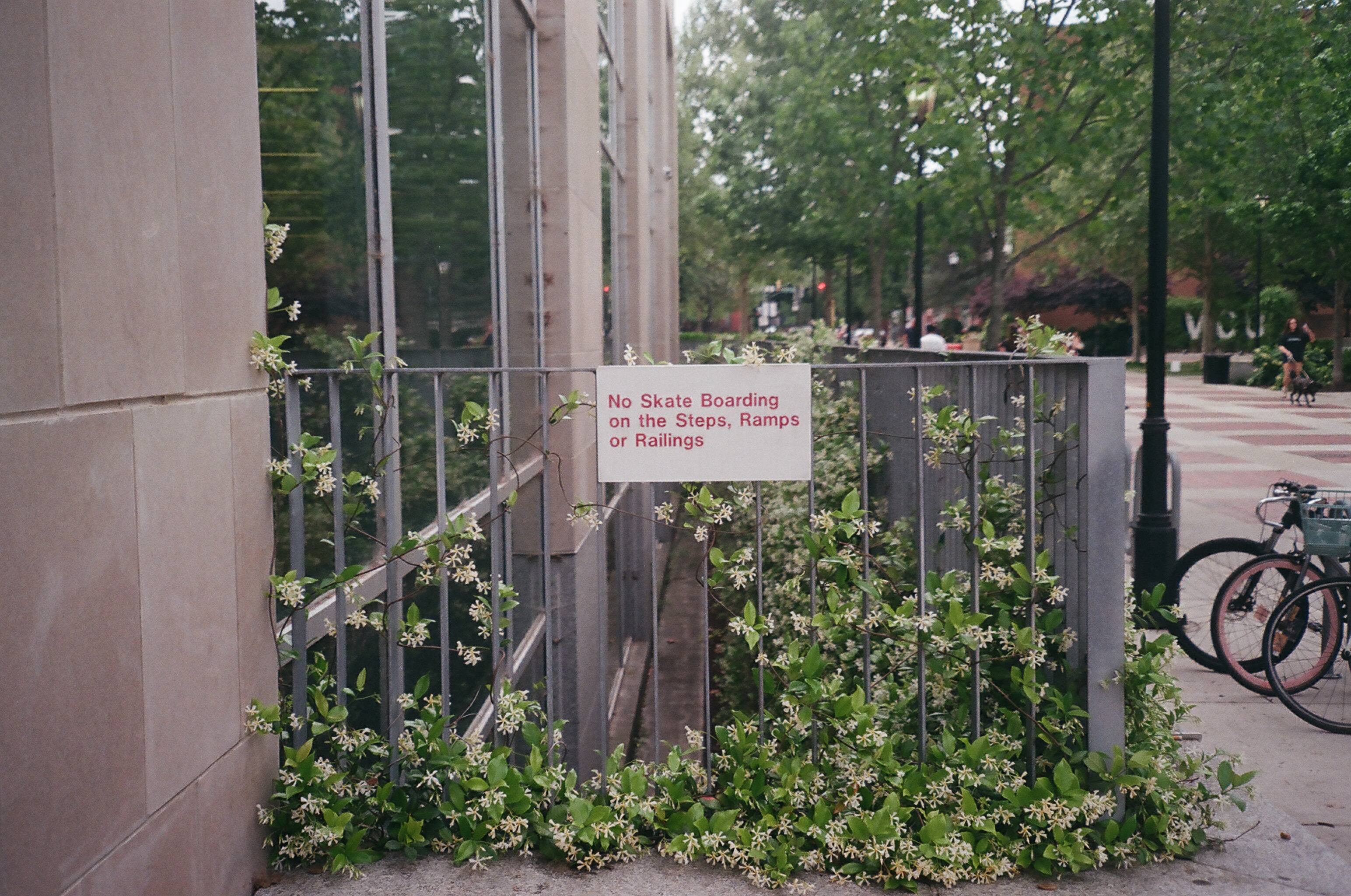 Image 33